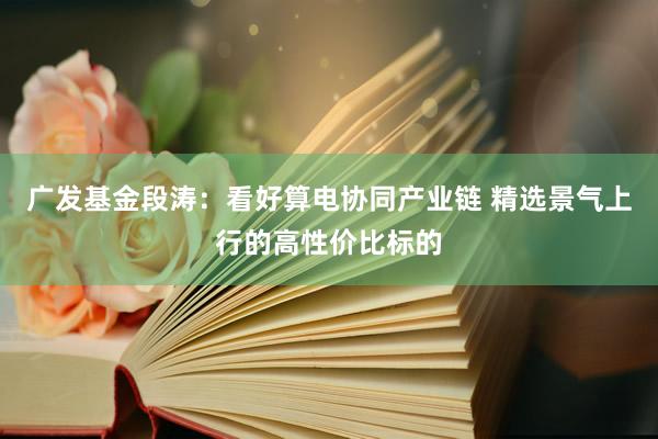 广发基金段涛：看好算电协同产业链 精选景气上行的高性价比标的