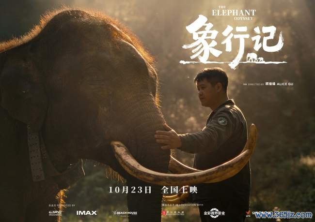 纪录电影《象行记》全球定档发布会在云南西双版纳举办